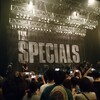 2017/03/21 The Specials、東京スカパラダイスオーケストラ ＠ ZEPP NAMBA