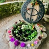 Glastonbury: A Life-Changing Spark　これからじわじわと