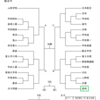 県総体組み合わせ