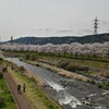 お花見🌸🏍️