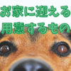 犬をお家に迎える時に用意するもの