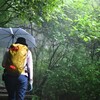 【過去板】晩夏の三辻山遊山　喜び雨