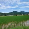 まだ梅雨明けない？