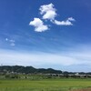 駆け抜けた夏