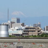６月１４日（土）第５回森ヶ崎屋上営巣地　営巣調査