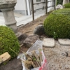 台風じまい　竹垣の片づけ