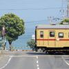 ひたちなか海浜鉄道を撮影