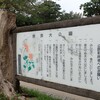 浦添大公園にて