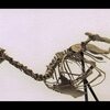 化石の金曜日: 恐竜が鳥の祖先であることを否定する新たな証拠
