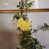 さんちょくでかってきた