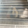 ヒナがうまれたよ
