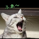 こうくんのブログ