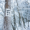 青空霧氷の綿向山② 2020.2.11