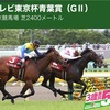 【 ハルの競馬予想 5/2.2020 】