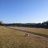 父のことが、 だいぶ 母の負担になっていたみたい