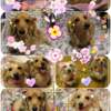 楽しくて懐かしい、そしてかけがえのない大切な思い出をありがとう〜❗❗Part2