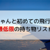 赤ちゃんとの飛行機！最低限の持ち物リスト【里帰り先から自宅まで】