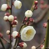 真冬よりも春先のほうが冷えるような気がするのは気のせい？