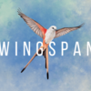 人気ボードゲームのSwitch版「WINGSPAN」を買ってみた & プレーガイド