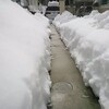 雪の話題は飽きたけど。。