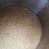 改めて米が張り付く大同電鍋で米を炊く