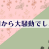 軒下大冒険（猫）