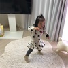 かまってちゃん（3歳2ヶ月）