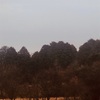 今朝の景色