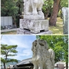 男狸　～　徳島夏詣　大麻比古神社　～