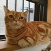 10/16 つぶやきまとめ