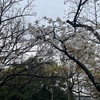 軋轢