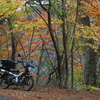 紅葉の落合峠ツーリング