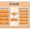 Gets Proper Tax Auditing Procedures After Deciding on The Audit?