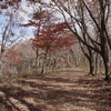 紅葉台ハイキング　～三湖台から五湖台へ～