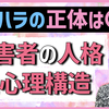 自己愛性パーソナリティ障害の攻撃性について詳しく解説します【モラハラとナルシシズム】