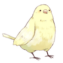 あたまのうえに鳥