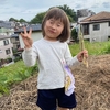 5月のなかよし保育通信🍓