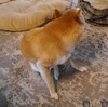 昼寝の後はすっきり、だよ