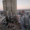 私はもはや外国人かも - 日本の全てに興味津々