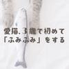 愛猫、３歳で初めて「ふみふみ」をする