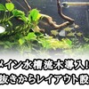 メイン水槽に流木導入!!あく抜き処理からレイアウト設置!!浸け置きにより浮かなくなりました。