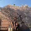 旧醸造試験場第一工場 (再訪)  北区滝野川