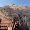 旧醸造試験場第一工場 (再訪)  北区滝野川