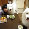 ☆お兄ちゃんの誕生日ケーキ