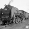 D51 9