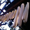  らいか・デイズ  １３ 