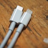 Apple Lightning USB-Cケーブル 2mとRAVPOWER RP-PC017
