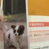 ぼーっと宅建