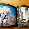 第1516回　写真における、独自の視点と、その人ならではの姿勢。
