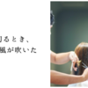 髪を切るとき、新しい風が吹いた
